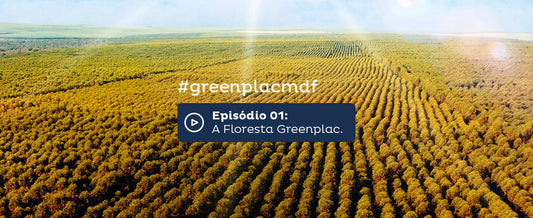 Greenplac abre as portas de sua indústria