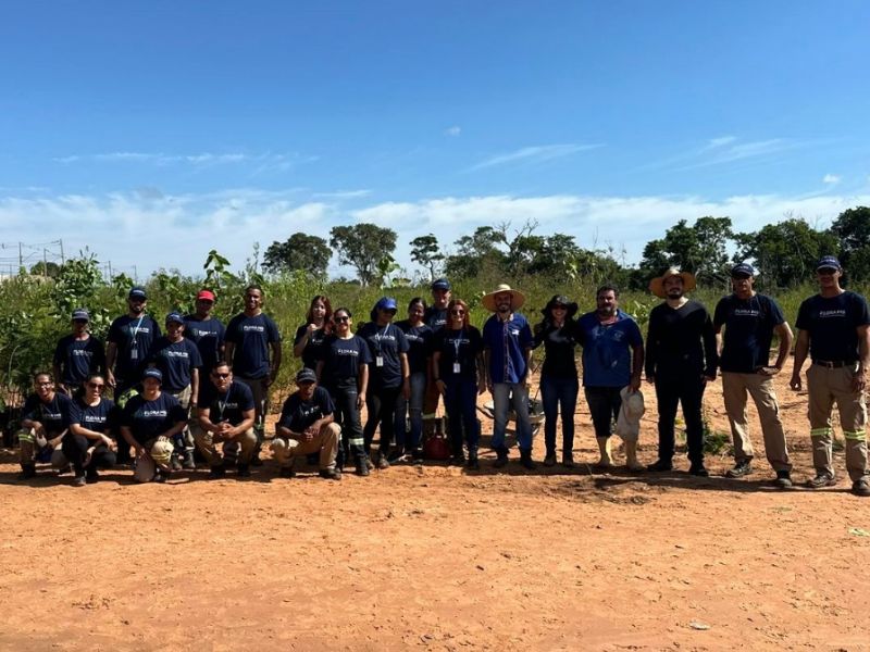 Greenplac MDF participa da primeira ação de plantio de mudas do projeto FLORA MS