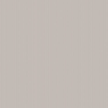 SELINE FRIZZO | LINHA DECORE